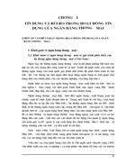 Nâng cao hiệu quả sử dụng vốn và ngăn ngừa rủi ro tín dụng phát sinh trong kinh doanh tín dụng NHNo PTNT Hà Nội 1