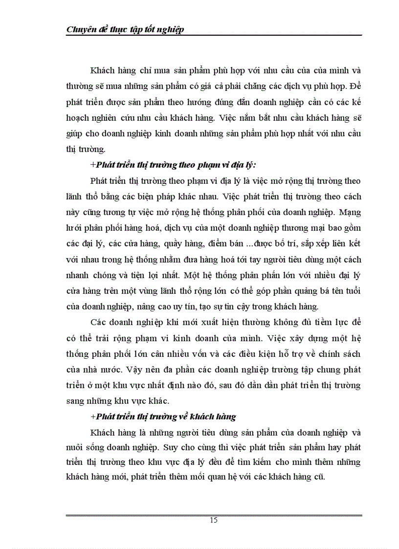 image for page Một số giải pháp phát triển thị trường của Công ty TNHH Thương Mại và Dịch Vụ Ngọc Hà