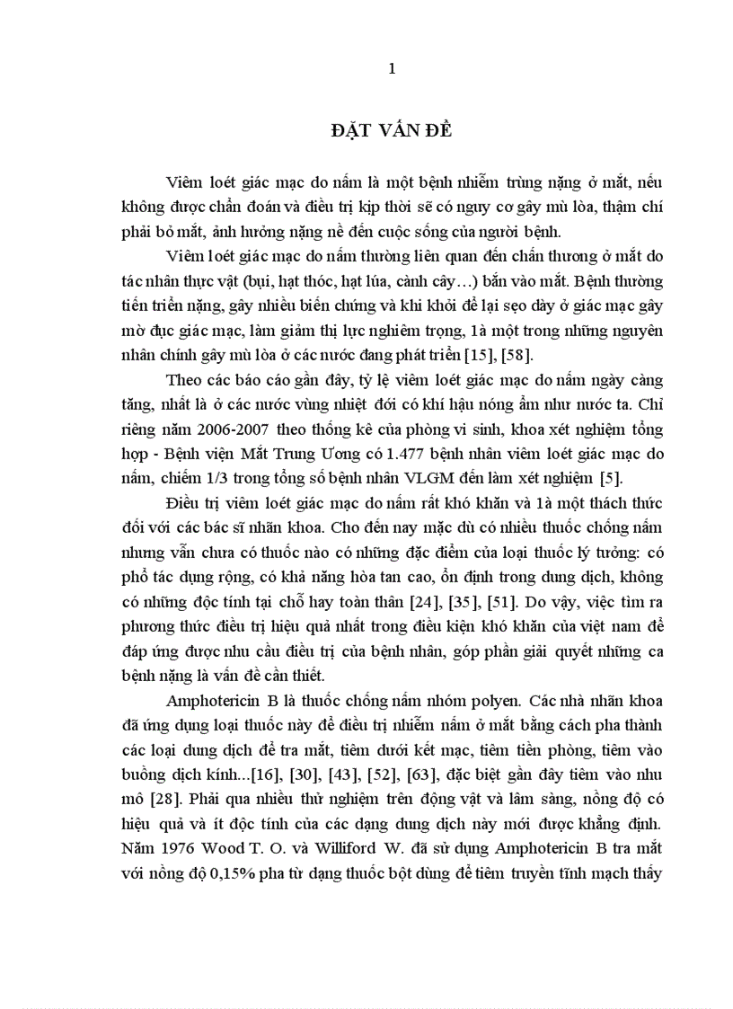Nghiên cứu hiệu quả điều trị viêm loét giác mạc do nấm bằng phối hợp tiêm Amphotericin B nhu mô giác mạc và Itraconazole toàn thân 1