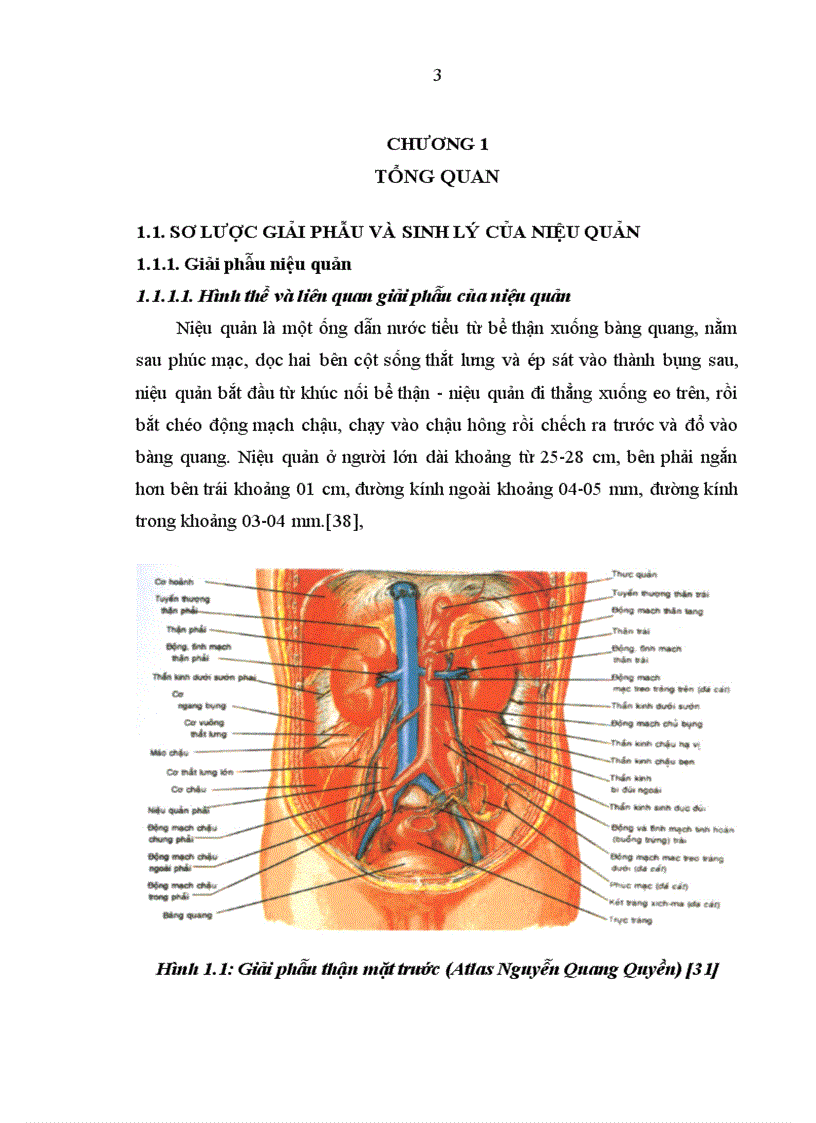 image for page Đánh giá kết quả điều trị sỏi niệu quản bằng phương pháp tán sỏi nội soi ngược dòng trên máy Lithoclast tại bệnh viện Thanh Nhàn