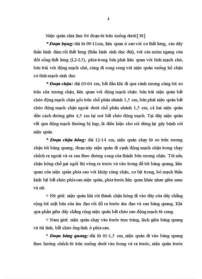 image for page Đánh giá kết quả điều trị sỏi niệu quản bằng phương pháp tán sỏi nội soi ngược dòng trên máy Lithoclast tại bệnh viện Thanh Nhàn