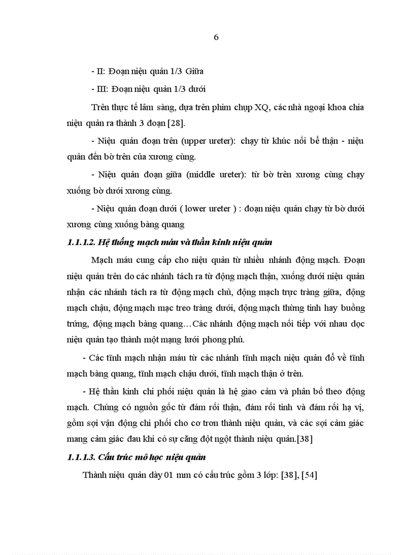 image for page Đánh giá kết quả điều trị sỏi niệu quản bằng phương pháp tán sỏi nội soi ngược dòng trên máy Lithoclast tại bệnh viện Thanh Nhàn