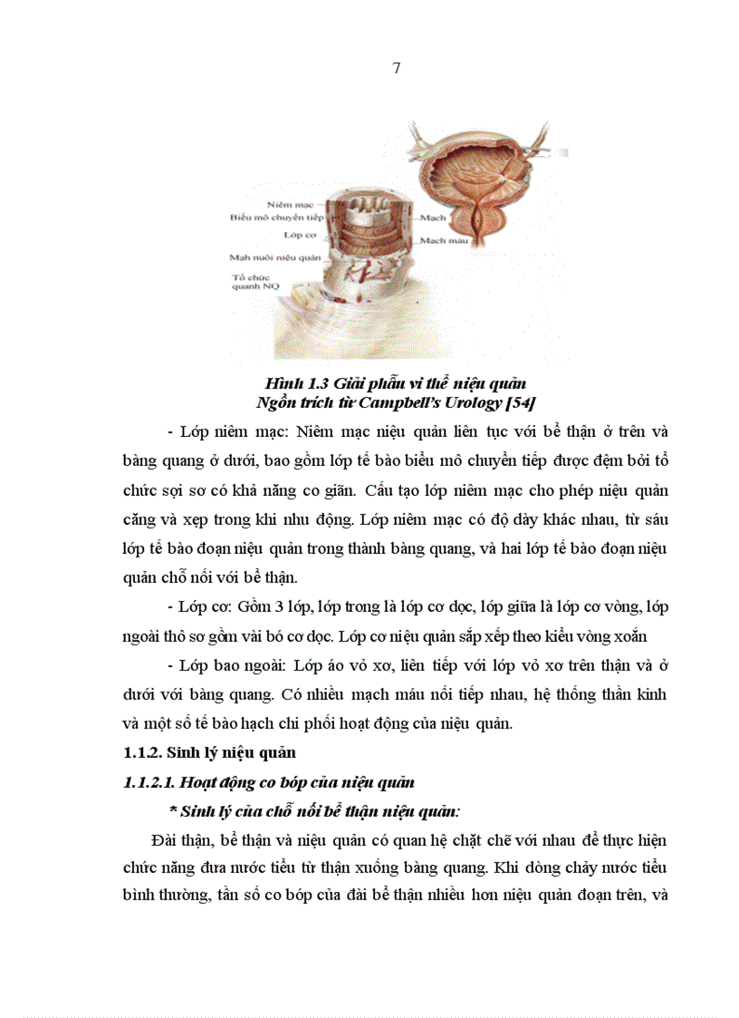image for page Đánh giá kết quả điều trị sỏi niệu quản bằng phương pháp tán sỏi nội soi ngược dòng trên máy Lithoclast tại bệnh viện Thanh Nhàn