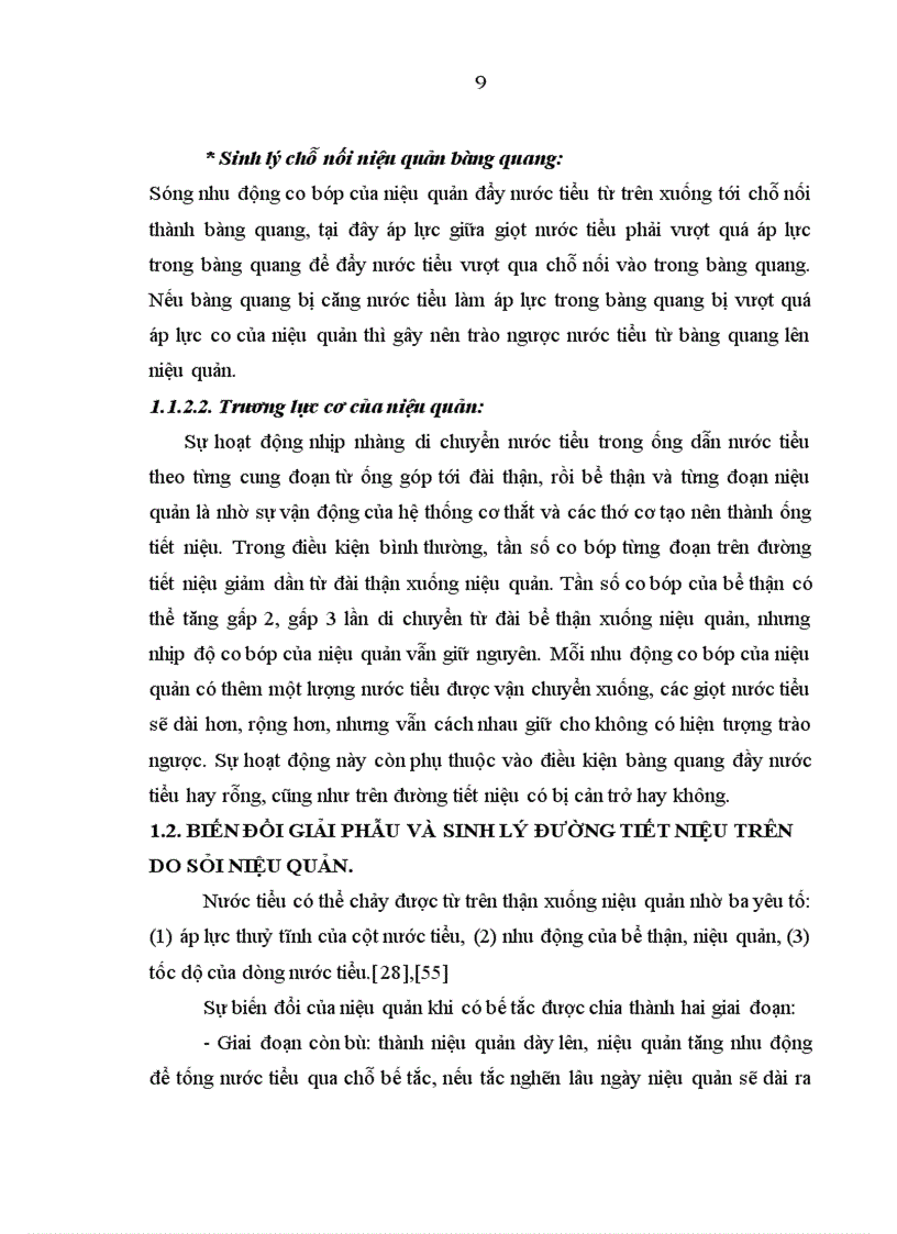 image for page Đánh giá kết quả điều trị sỏi niệu quản bằng phương pháp tán sỏi nội soi ngược dòng trên máy Lithoclast tại bệnh viện Thanh Nhàn