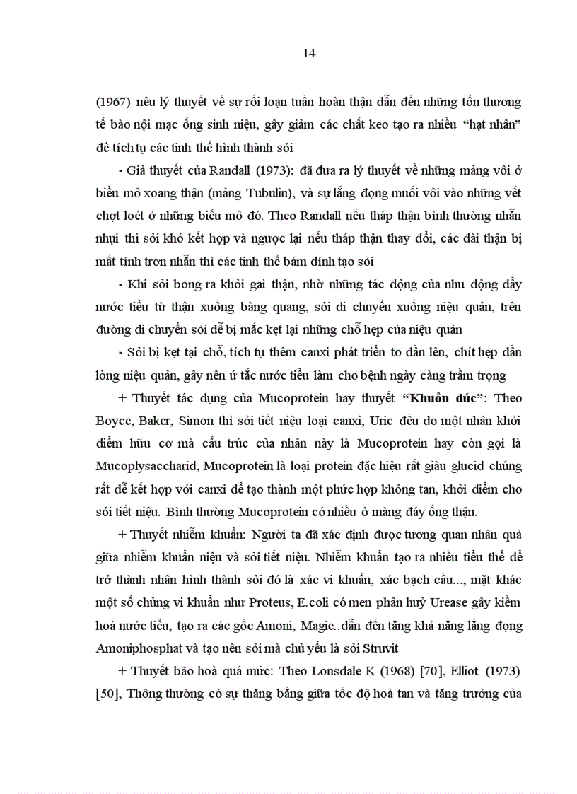 image for page Đánh giá kết quả điều trị sỏi niệu quản bằng phương pháp tán sỏi nội soi ngược dòng trên máy Lithoclast tại bệnh viện Thanh Nhàn