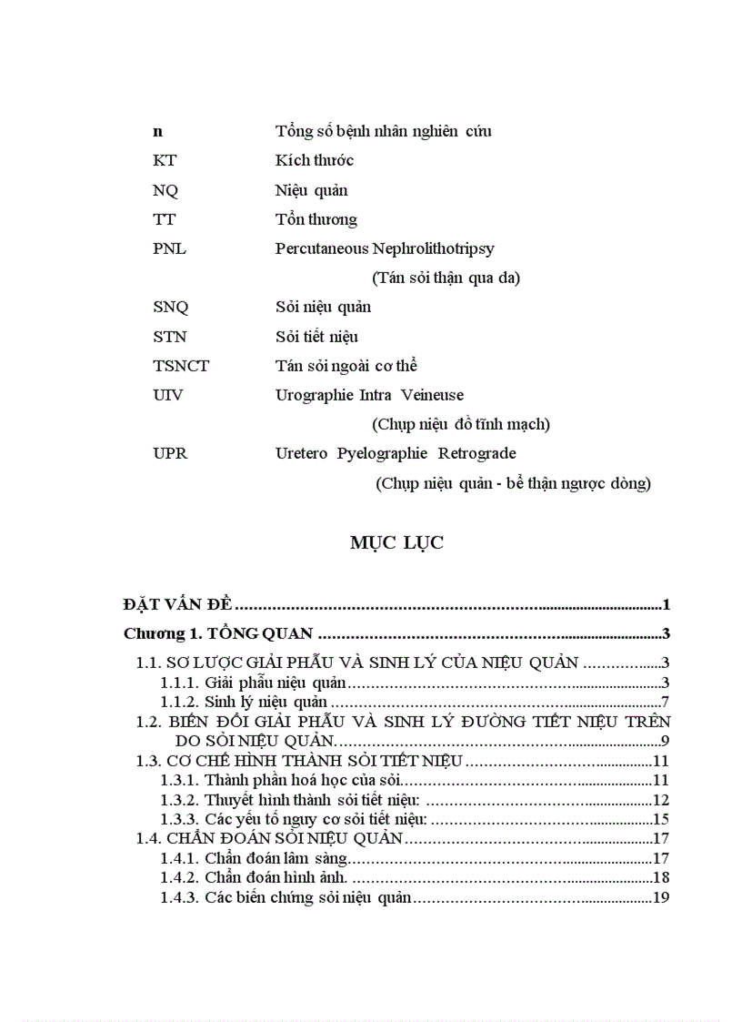 image for page Đánh giá kết quả điều trị sỏi niệu quản bằng phương pháp tán sỏi nội soi ngược dòng trên máy Lithoclast tại bệnh viện Thanh Nhàn
