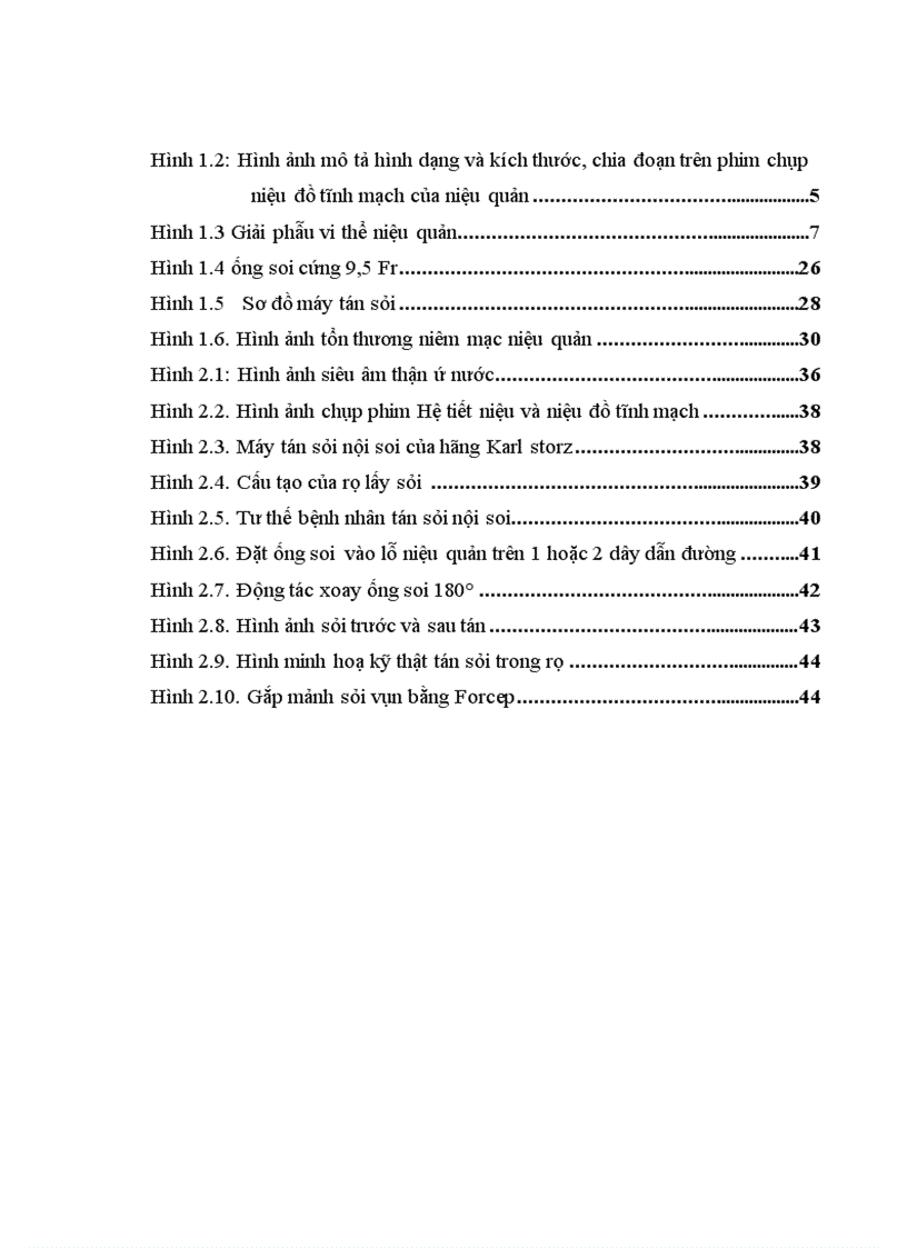 image for page Đánh giá kết quả điều trị sỏi niệu quản bằng phương pháp tán sỏi nội soi ngược dòng trên máy Lithoclast tại bệnh viện Thanh Nhàn