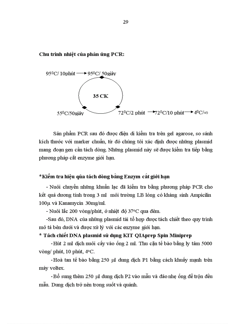 image for page Tạo dòng và thiết kế vector biểu hiện gen mã hóa yếu tố VIII của người