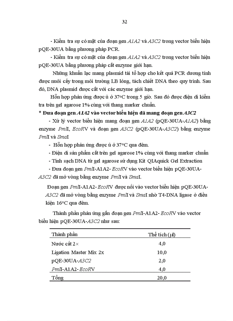 image for page Tạo dòng và thiết kế vector biểu hiện gen mã hóa yếu tố VIII của người