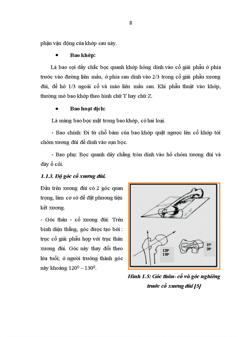 image for page Đánh giá kết quả điều trị gãy liên mấu chuyển xương đùi ở người cao tuổi bằng kết hợp xương nẹp vít động tại Bệnh viện Xanh Pôn và Bệnh viện 198