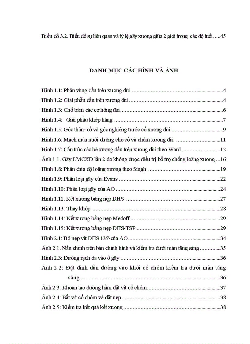 image for page Đánh giá kết quả điều trị gãy liên mấu chuyển xương đùi ở người cao tuổi bằng kết hợp xương nẹp vít động tại Bệnh viện Xanh Pôn và Bệnh viện 198