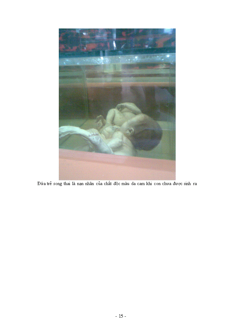 image for page Bảo tàng chứng tích chiến tranh 1