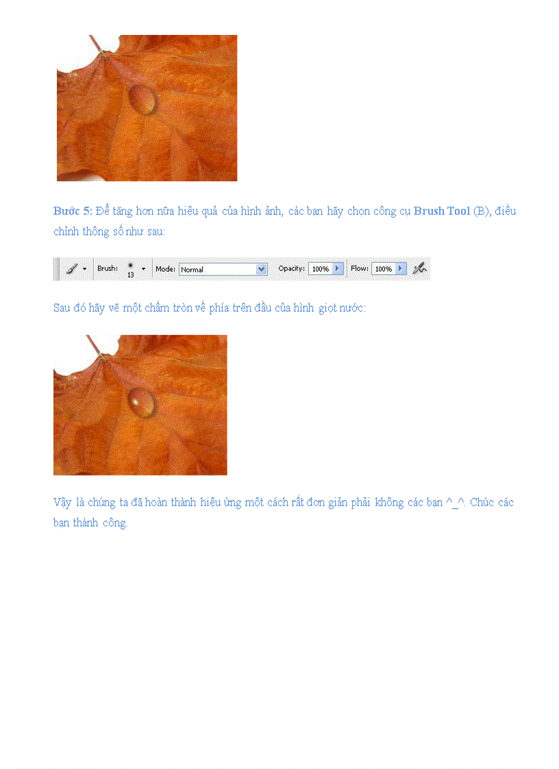 image for page Photoshop giọt sương trên lá