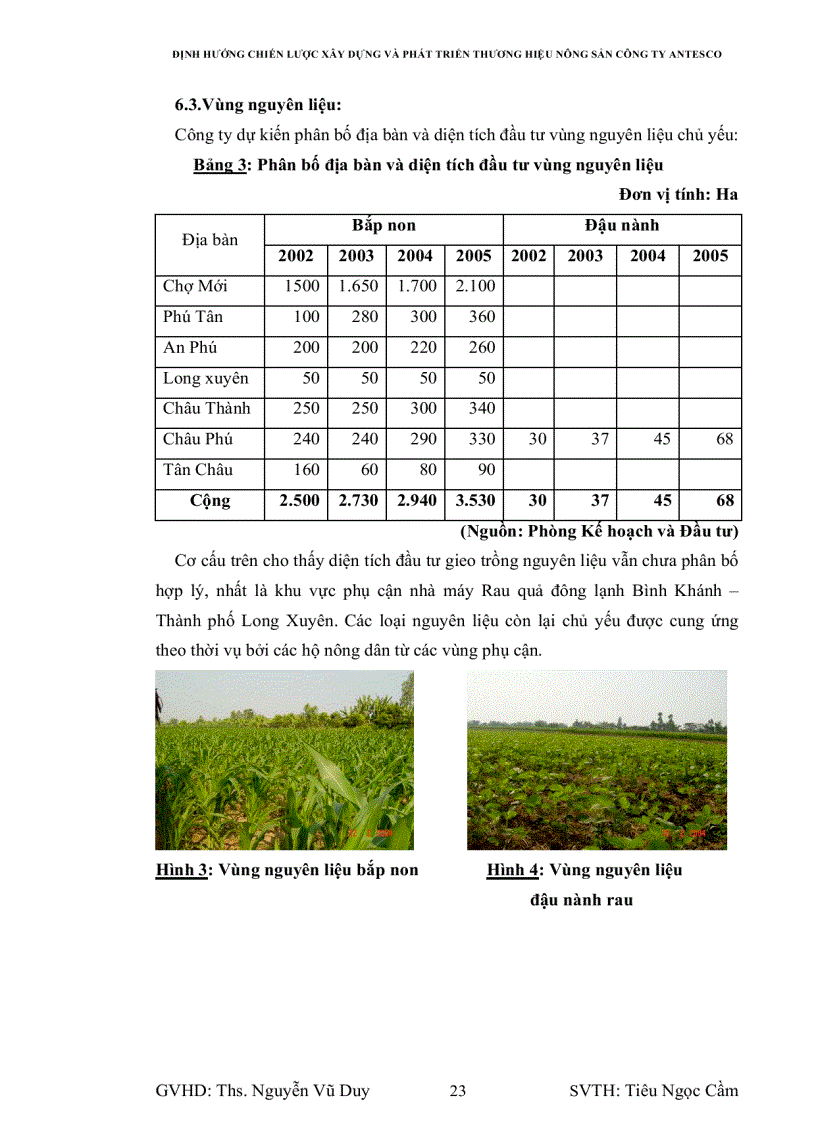 image for page Định hướng chiến lược xây dựng và phát triển thương hiệu cho hàng nông sản công ty Antesco