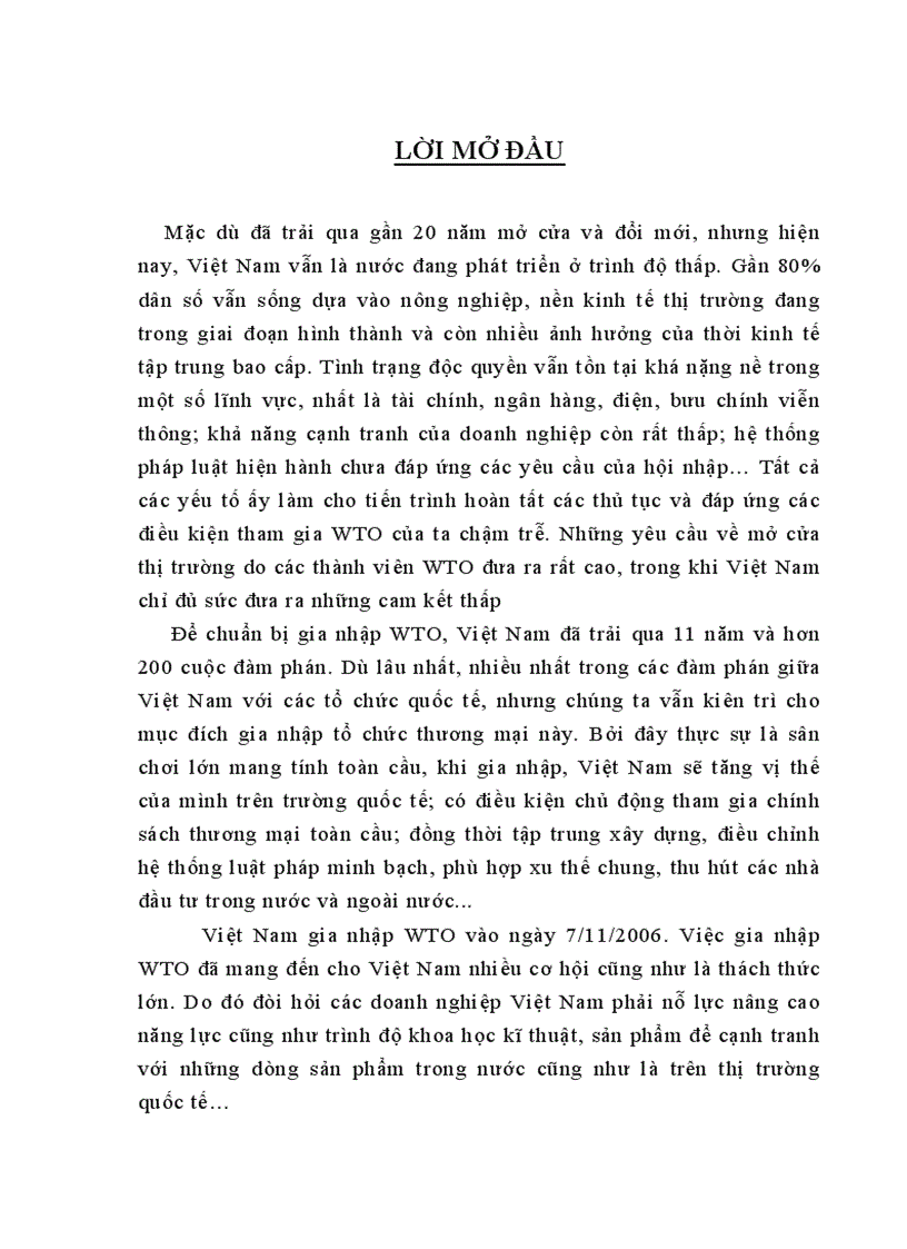 Những cơ hội và thách thức khi Việt Nam tham gia WTO 1