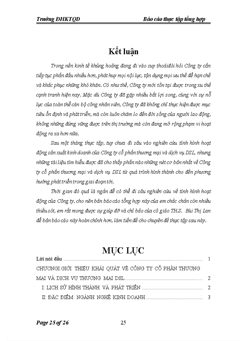 image for page Tình hình hoạt động sản xuất kinh doanh của Công ty cổ phần thương mại và dịch vụ DSL