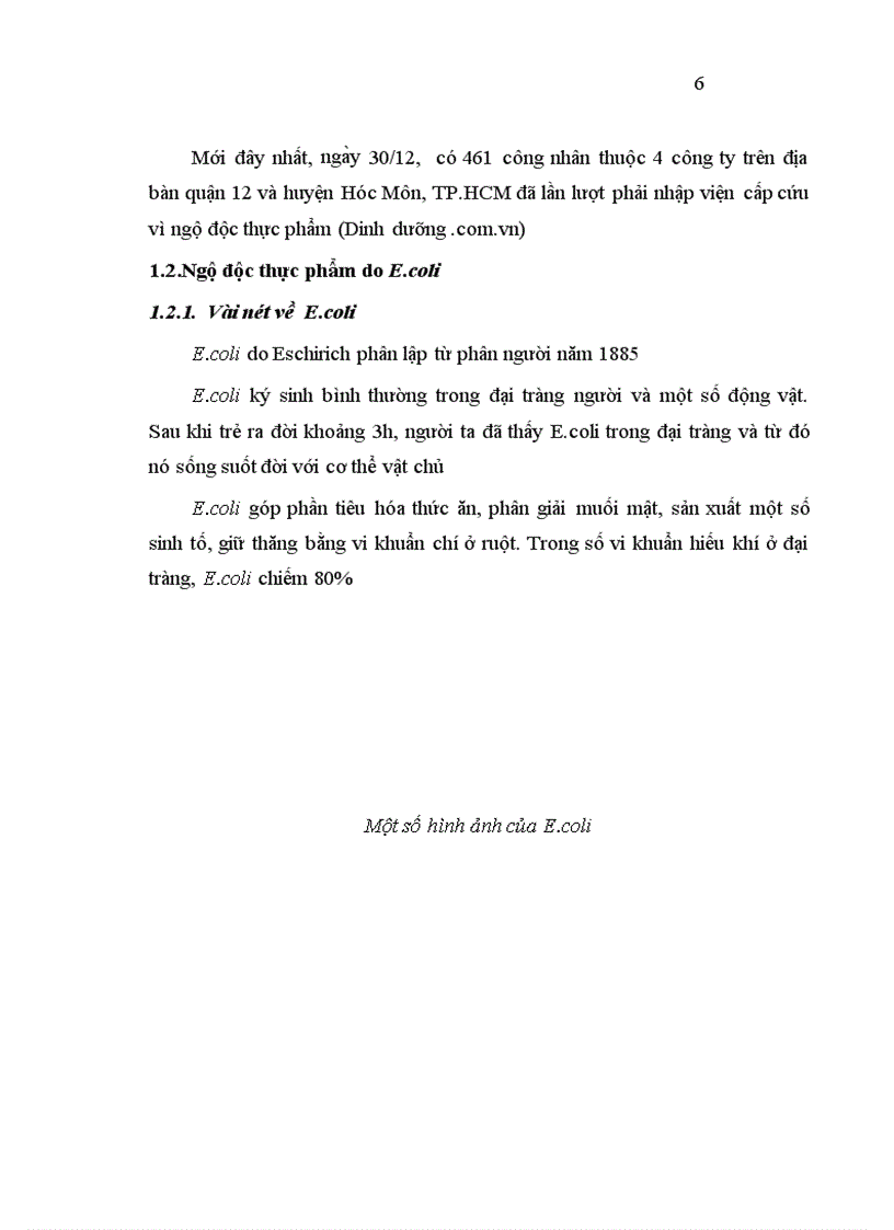 image for page Thiết kế vector và bước đầu biểu hiện protein tiểu đơn vị B độc tố không chịu nhiệt LT của ETEC trên vi khuẩn E coli