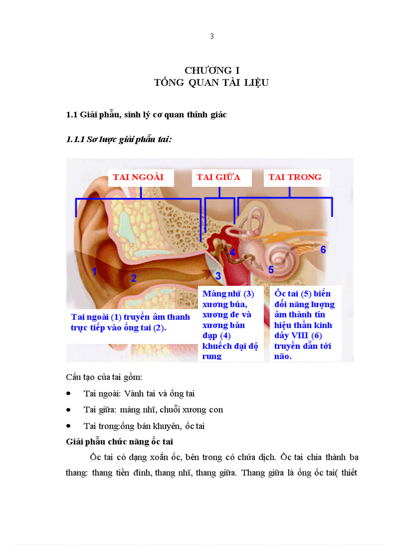image for page Nghiên cứu ứng dụng đo điện thính giác thân não phát hiện giảm thính lực ở trẻ đẻ non tại khoa sơ sinh Bệnh viện nhi trung ương 1