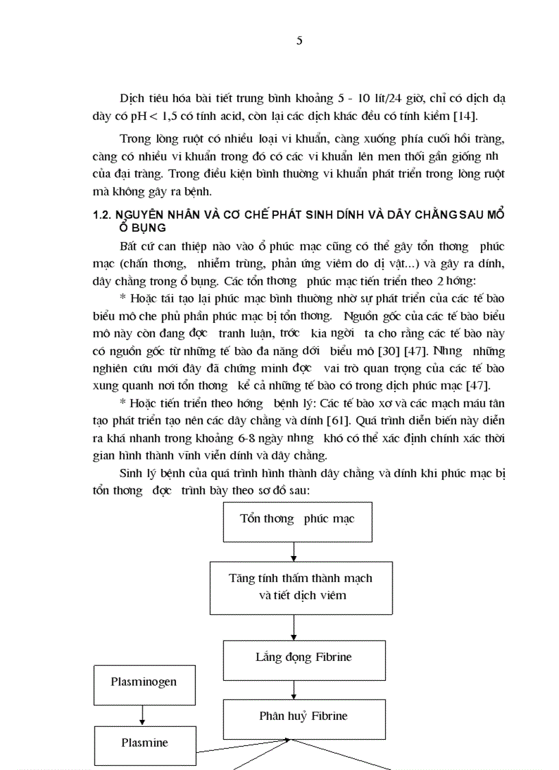 image for page Nghiên cứu kết quả sớm điều trị tắc ruột sau mổ tại bệnh viện Việt Đức từ tháng 1 2000 đến 12 2002 1