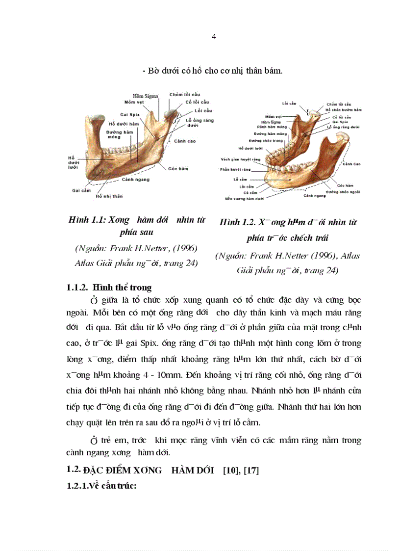 Nhận xét đặc điểm lâm sàng X quang và kết quả điều trị gãy XHD vùng cằm do chấn thương tại Bệnh viện Răng Hàm Mặt trung ương 2010 201