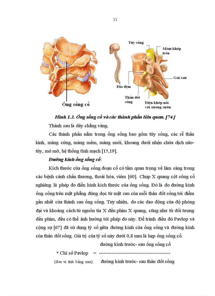 image for page Nghiên cứu các đặc điểm lâm sàng và hình ảnh chụp cộng hưởng từ của bệnh nhân hẹp ống sống cổ tại Khoa Thần kinh Bệnh viện Bạch Mai