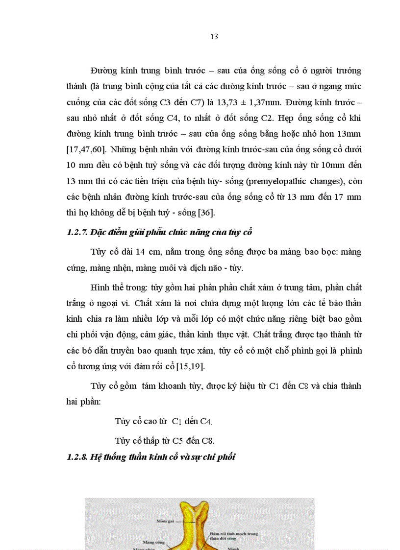 image for page Nghiên cứu các đặc điểm lâm sàng và hình ảnh chụp cộng hưởng từ của bệnh nhân hẹp ống sống cổ tại Khoa Thần kinh Bệnh viện Bạch Mai