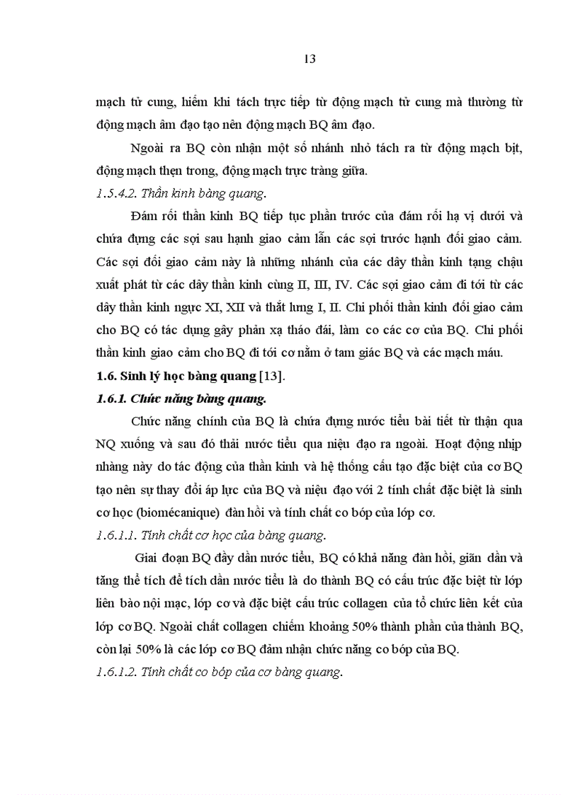 image for page Nghiên cứu đặc điểm chẩn đoán và kết quả điều trị phẫu thuật các tai biến tiết niệu sau mổ sản phụ khoa tại bệnh viện Việt Đức