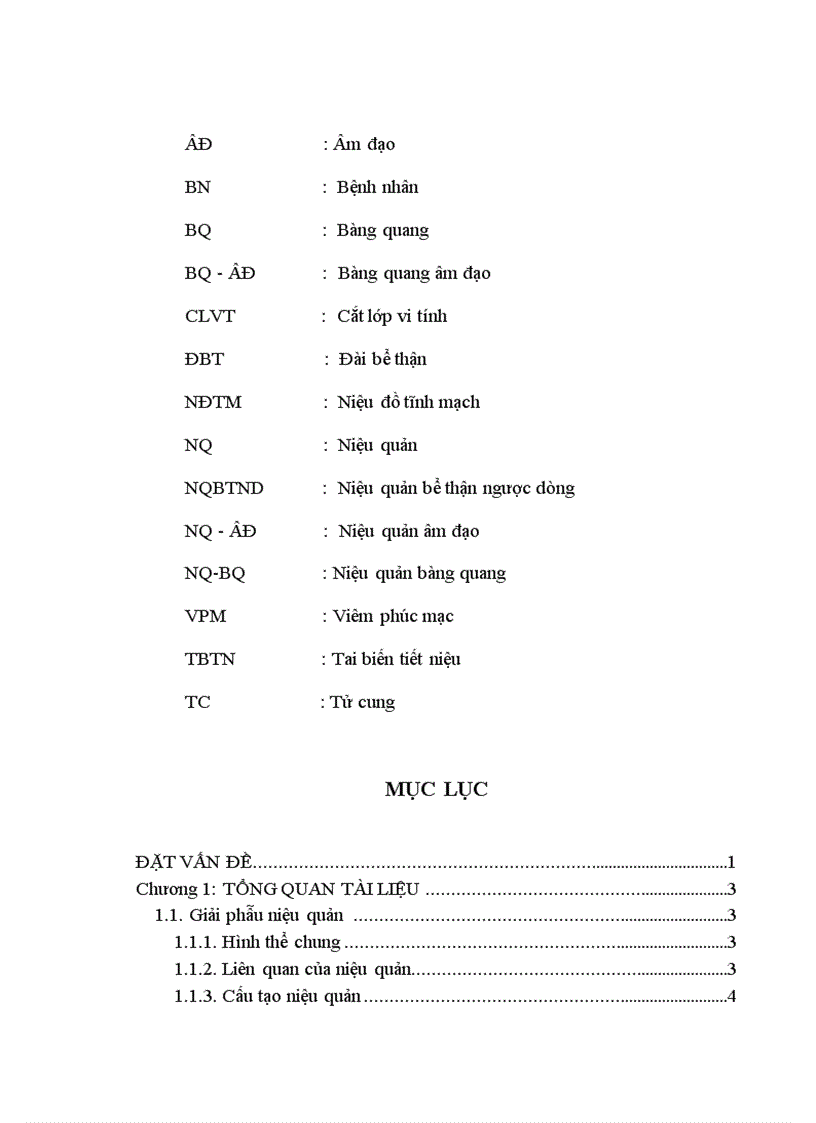image for page Nghiên cứu đặc điểm chẩn đoán và kết quả điều trị phẫu thuật các tai biến tiết niệu sau mổ sản phụ khoa tại bệnh viện Việt Đức