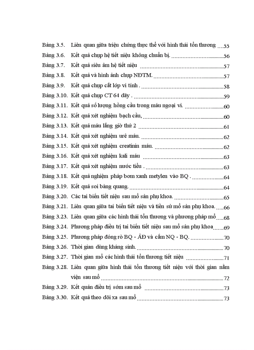 image for page Nghiên cứu đặc điểm chẩn đoán và kết quả điều trị phẫu thuật các tai biến tiết niệu sau mổ sản phụ khoa tại bệnh viện Việt Đức