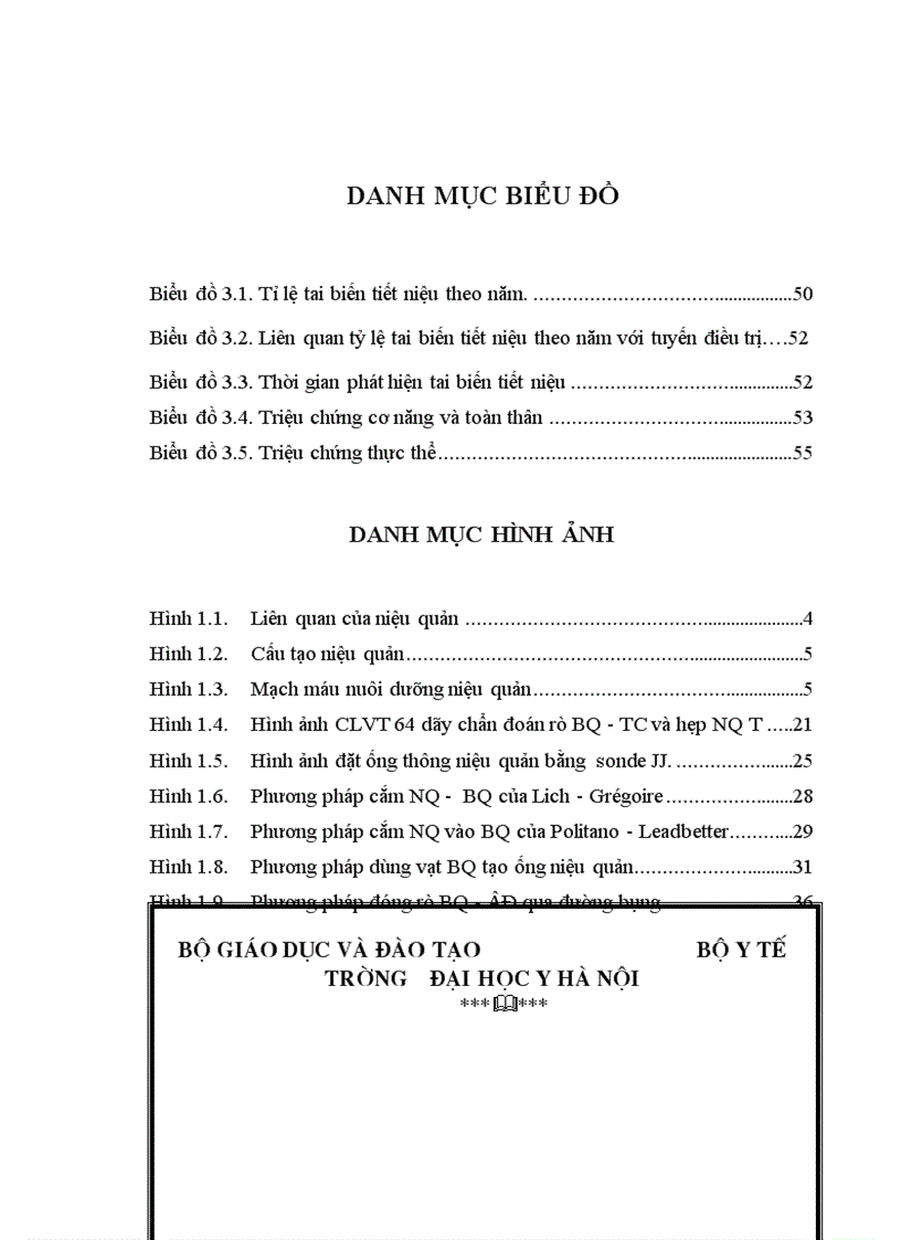 image for page Nghiên cứu đặc điểm chẩn đoán và kết quả điều trị phẫu thuật các tai biến tiết niệu sau mổ sản phụ khoa tại bệnh viện Việt Đức