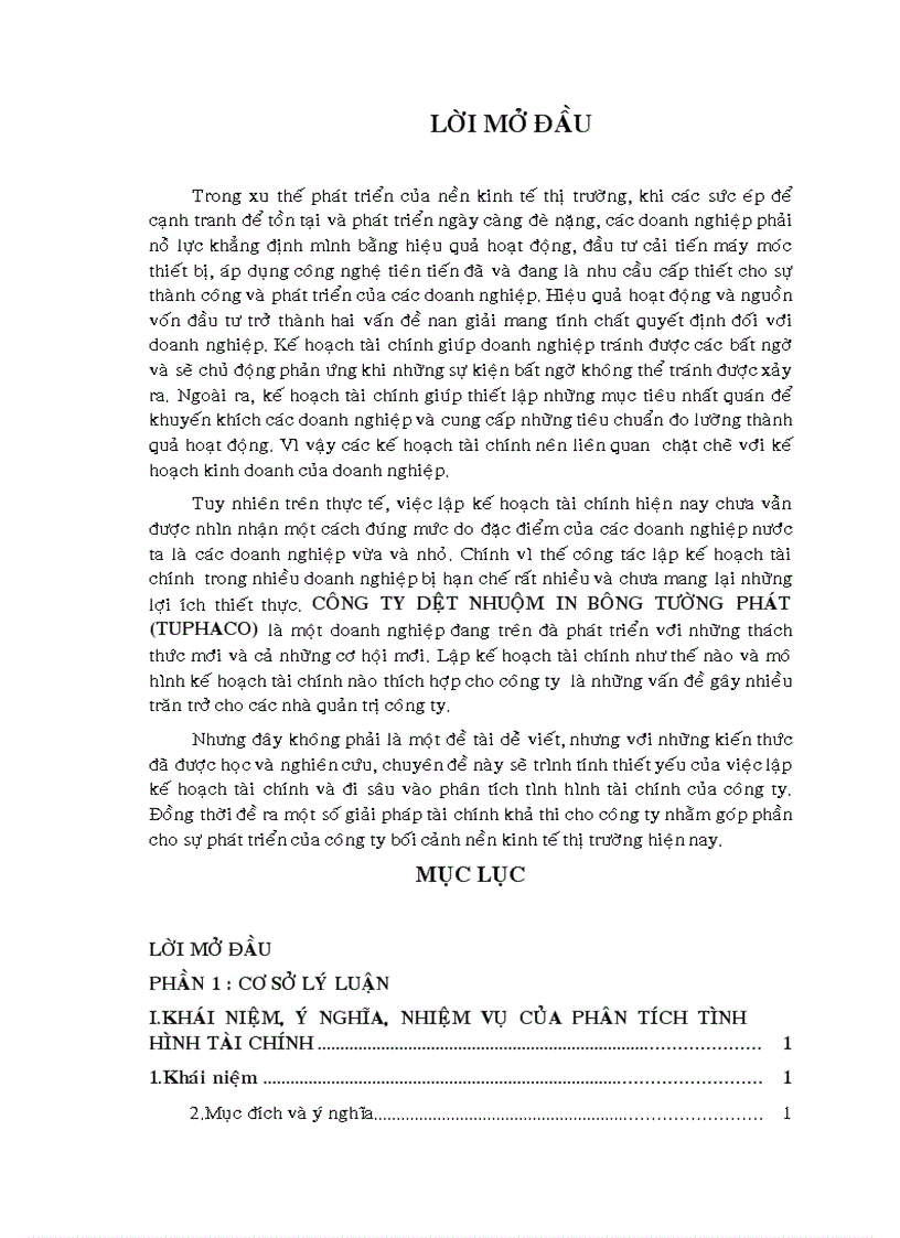 Lập kế hoạch tài chính tại công ty TNHH DỆT NHUỘM IN BÔNG TƯỜNG PHÁT 1