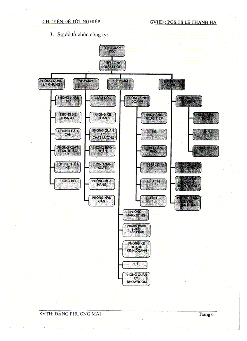 image for page Chiến lược tung sản phẩm dầu gội DOUBLE RICH mới