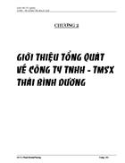 Tổ chức kế toán tại công ty TNHH THÁI BÌNH DƯƠNG