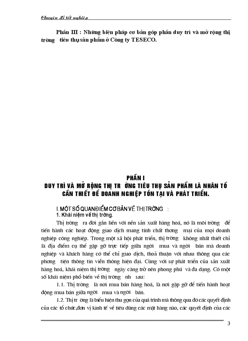 Những biện pháp cơ bản góp phần duy trì và mở rộng thị trường tiêu thụ sản phẩm ở Công ty TNHH TESE