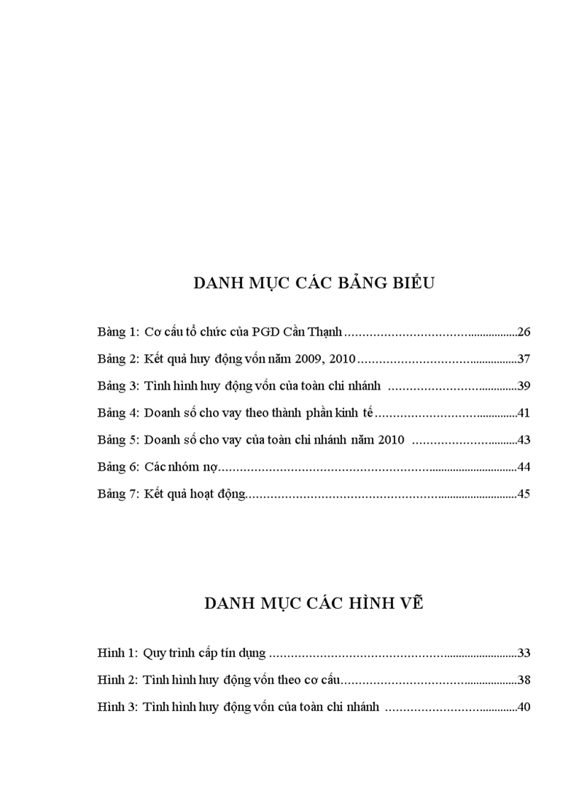 image for page Tình hình hoạt động tín dụng tại ngân hàng tmcp sài gòn thương tín pgd CẦN THẠNH