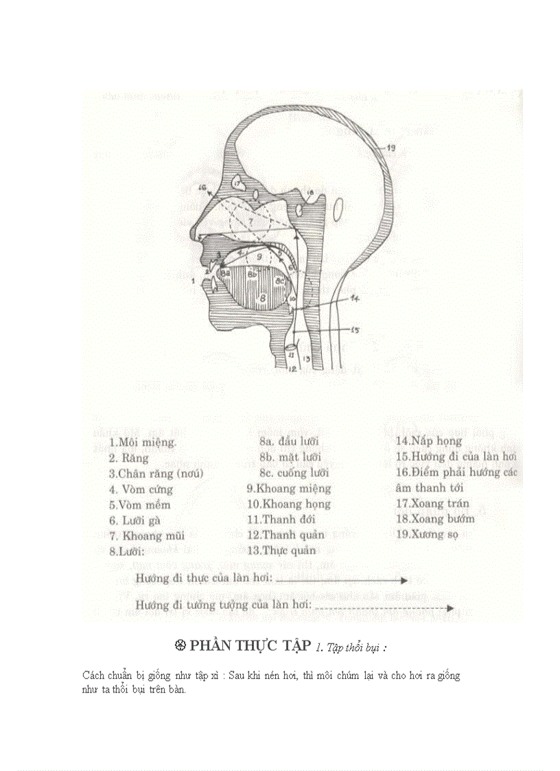 image for page Giáo trình thanh nhạc