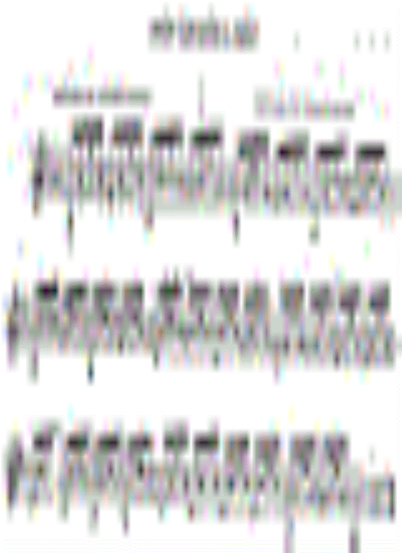 image for page Học Đánh Đàn Guitar