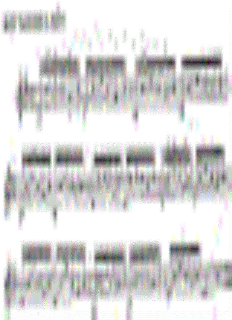 image for page Học Đánh Đàn Guitar