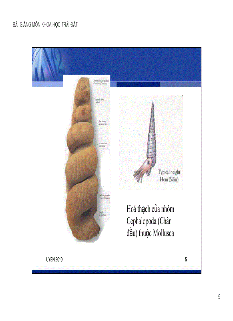 image for page Chương 6 Bên trong Trái đất