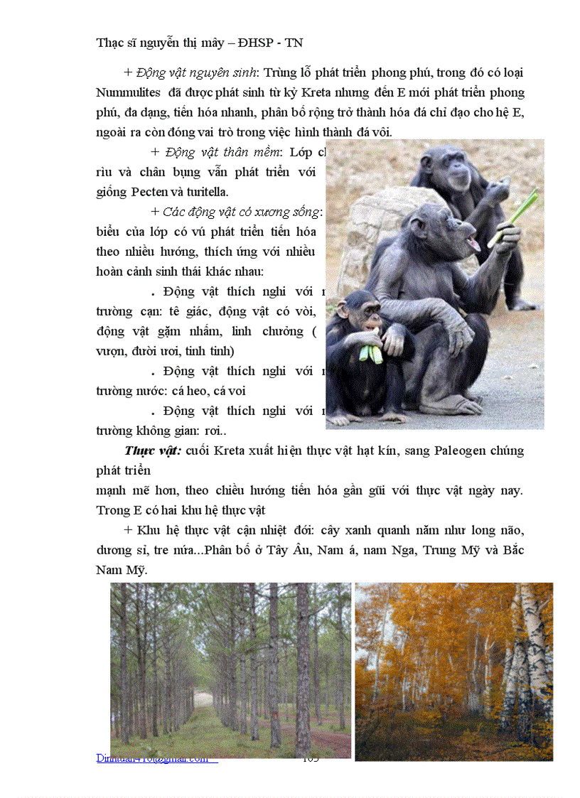 image for page Dia chat hoc DHSPTN