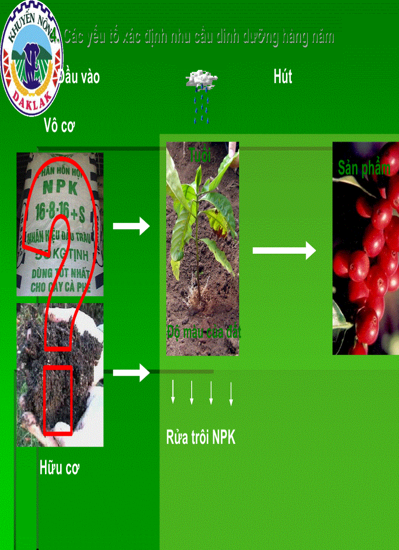 image for page Dinh dưỡng cây cà phê