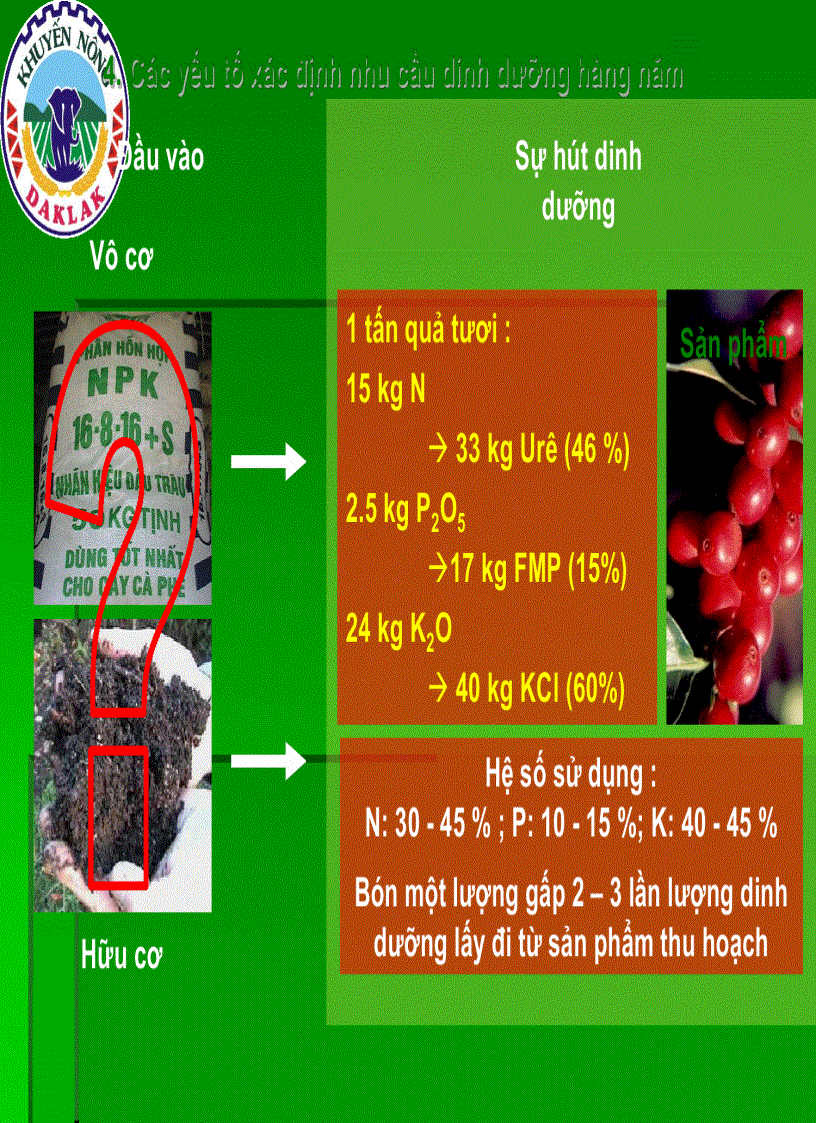 image for page Dinh dưỡng cây cà phê