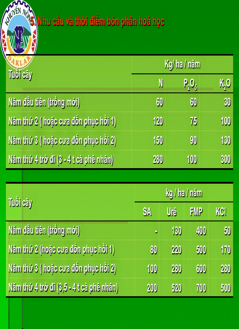 image for page Dinh dưỡng cây cà phê