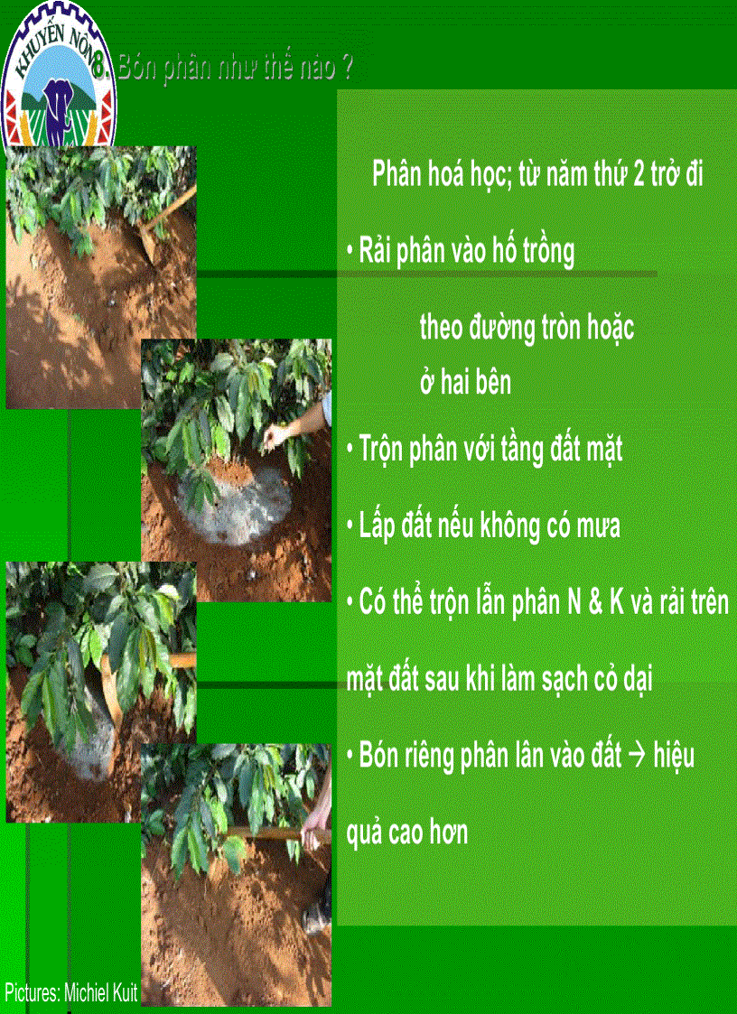 image for page Dinh dưỡng cây cà phê
