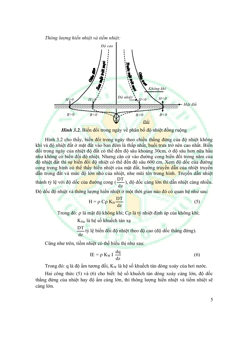 image for page Giáo trình sinh thái học đồng ruộng