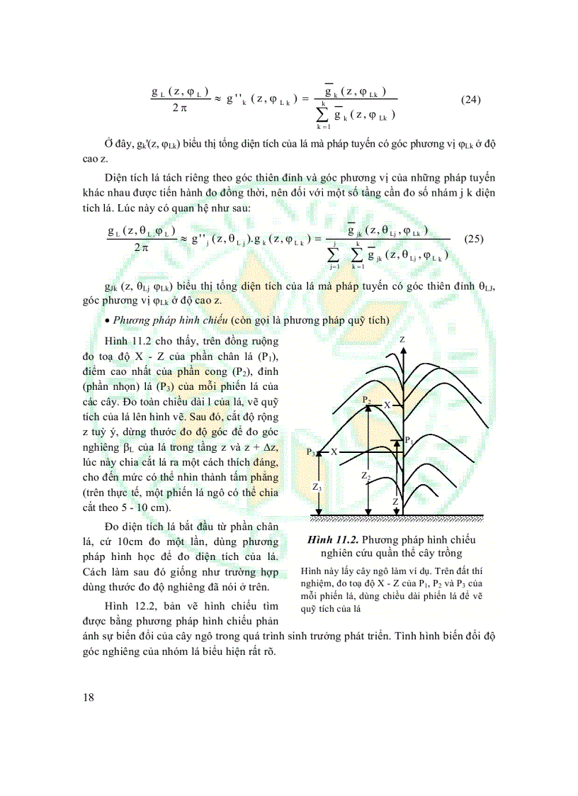 image for page Giáo trình sinh thái học đồng ruộng