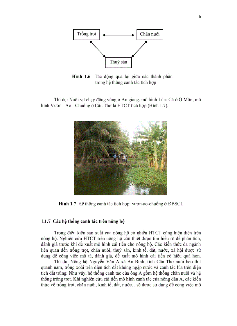 image for page Hệ thống canh tác