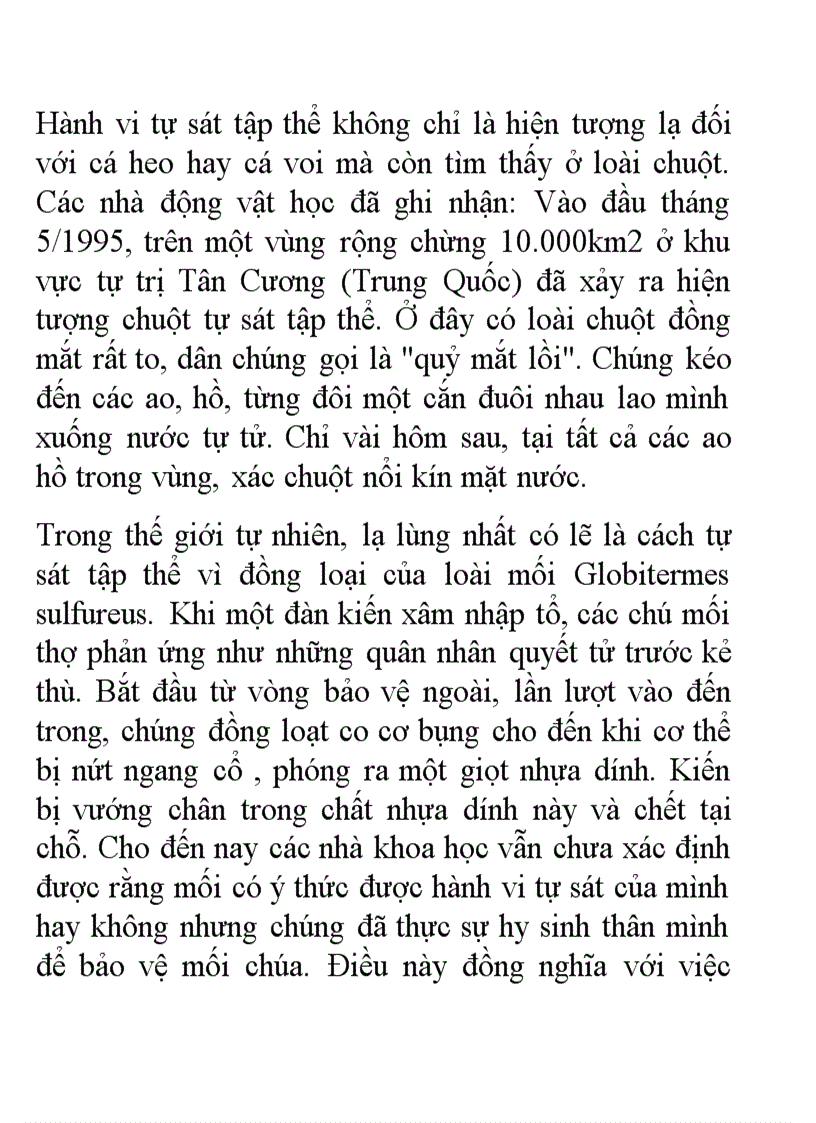 image for page Hinh anh chim canh cut