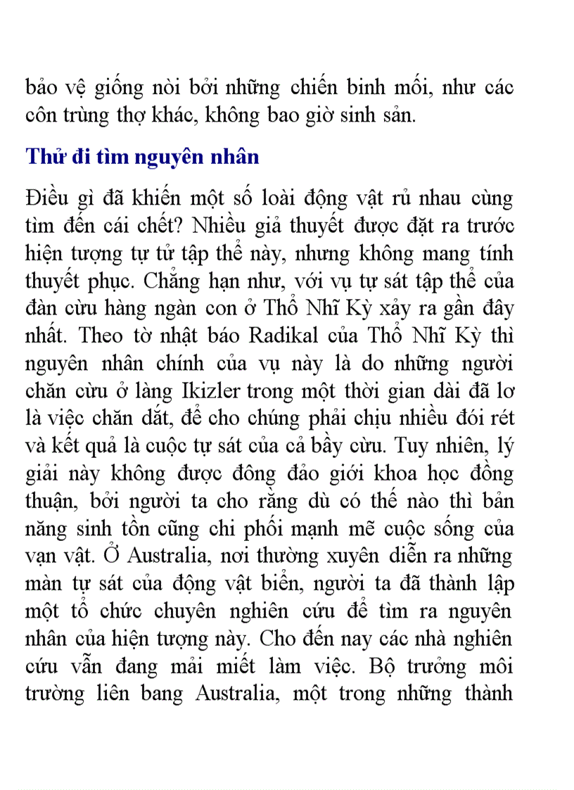 image for page Hinh anh chim canh cut