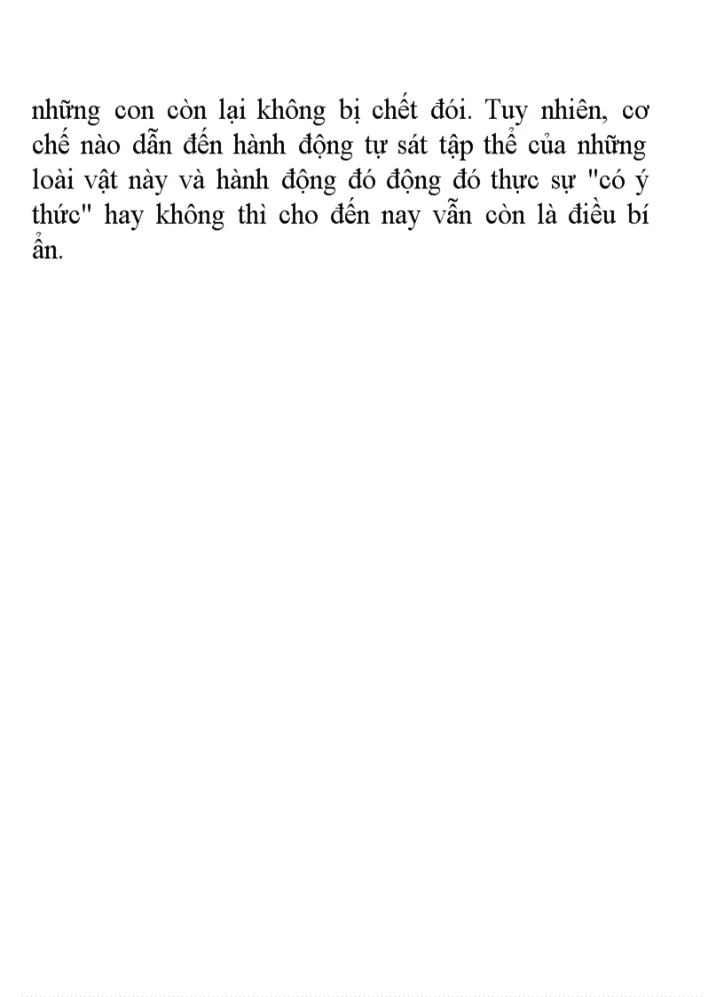 image for page Hinh anh chim canh cut